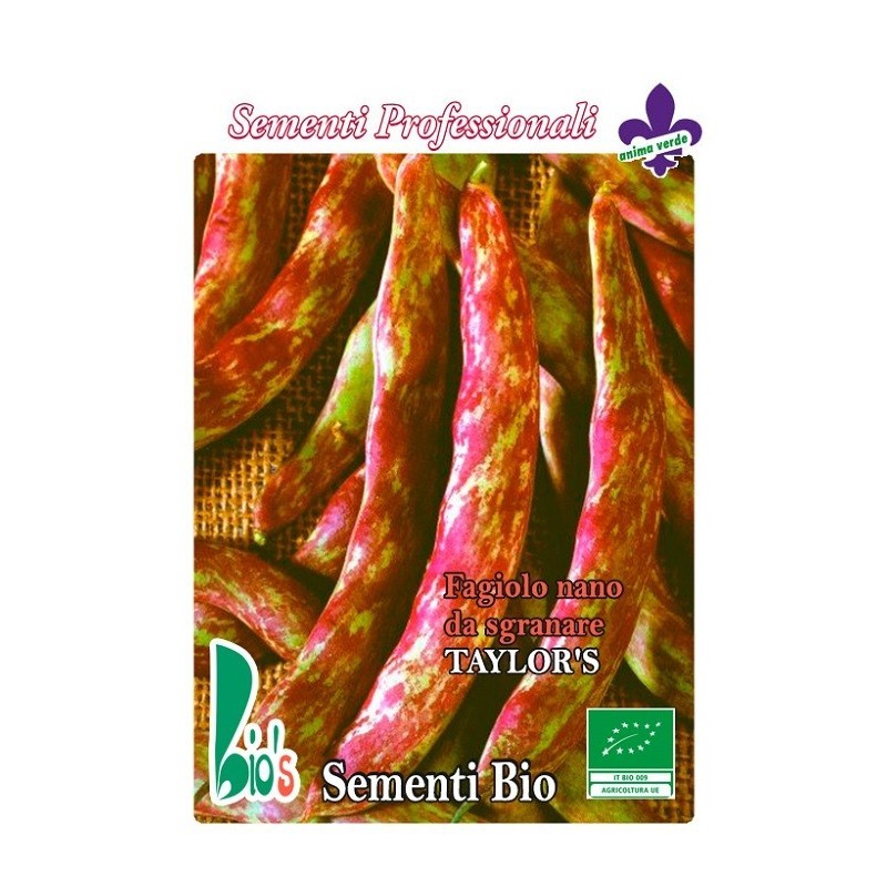 judia borlotto TaylorÂ´s - semillas ecologicas