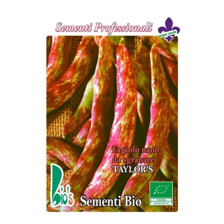 judia borlotto TaylorÂ´s - semillas ecologicas