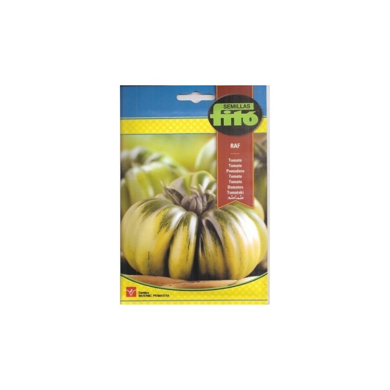 tomate RAF