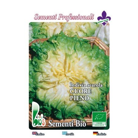 escarola verde de corazÃ³n lleno - semillas ecologicas