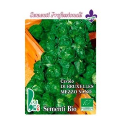 coles de bruselas - semillas ecologicas