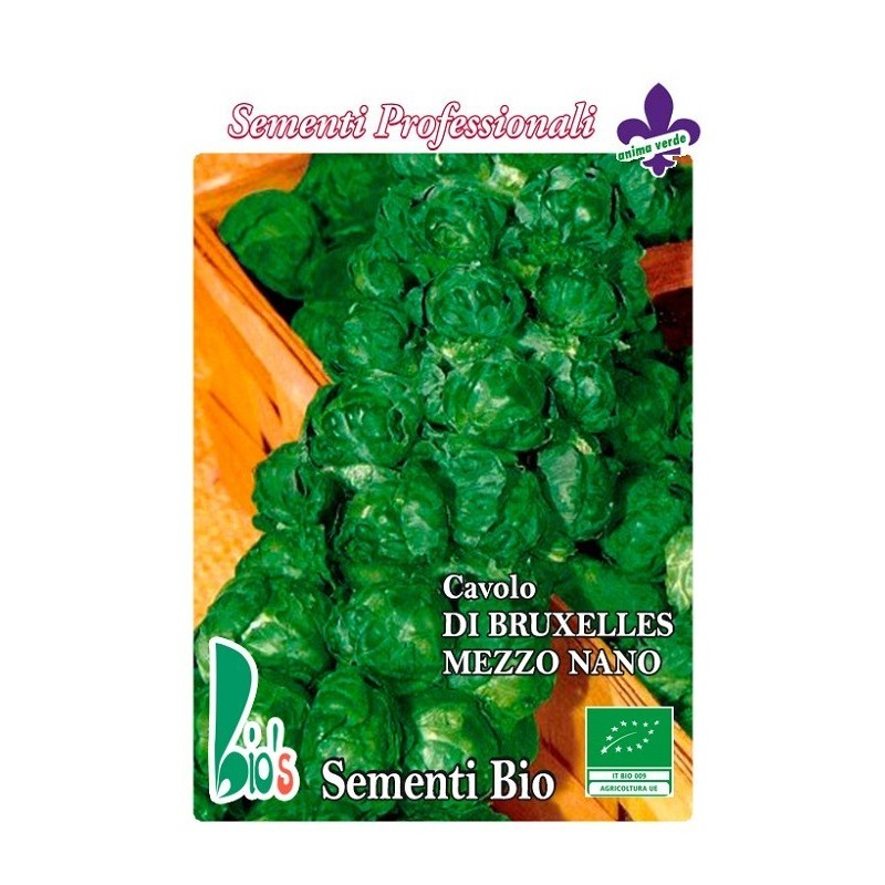 coles de bruselas - semillas ecologicas