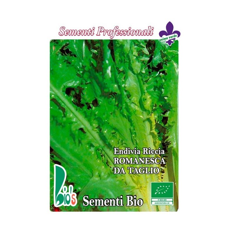 escarola rizada de tallo romanesca - semillas ecologicas
