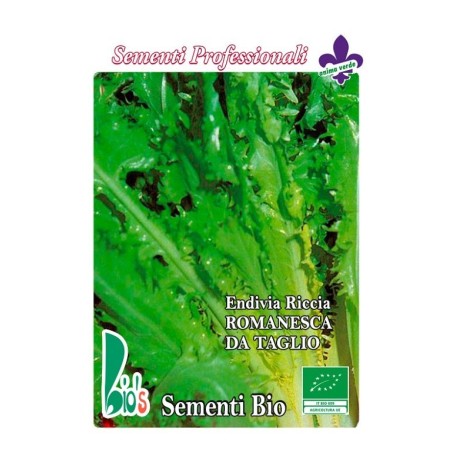 escarola rizada de tallo romanesca - semillas ecologicas