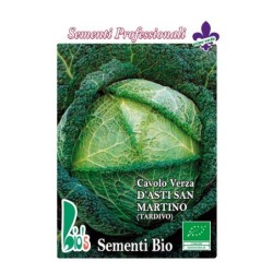 repollo San Martino - semillas ecologicas