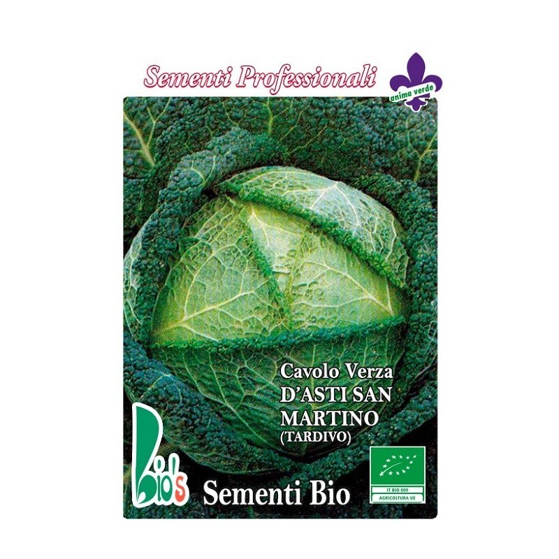 repollo San Martino - semillas ecologicas