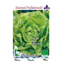 lechuga kagran de verano - semillas ecologicas