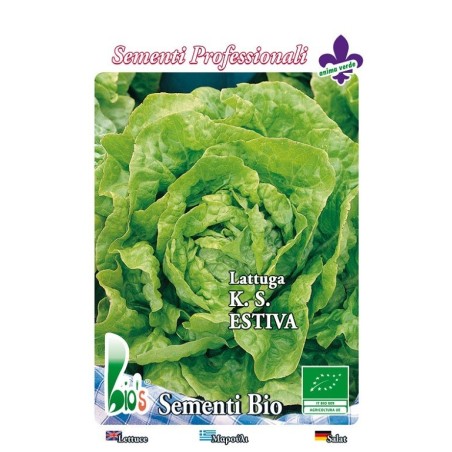 lechuga kagran de verano - semillas ecologicas