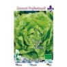 lechuga kagran de verano - semillas ecologicas