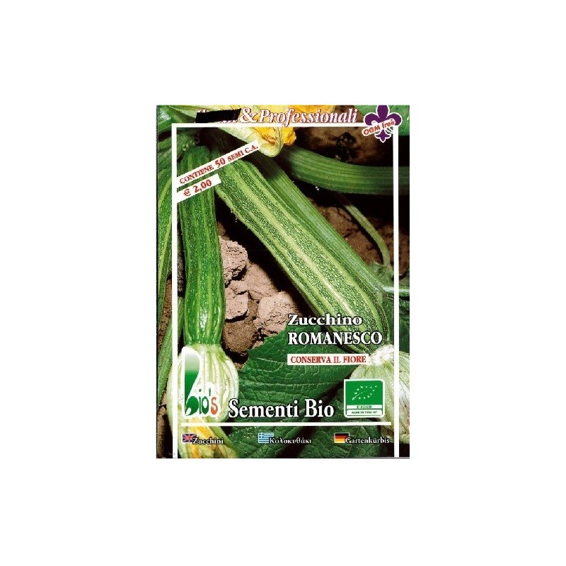 calabacin romanesco - semillas ecologicas