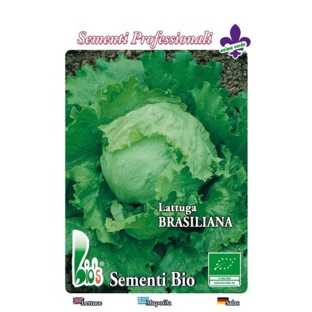 lechuga brasiliana iceberg - semillas ecologicas