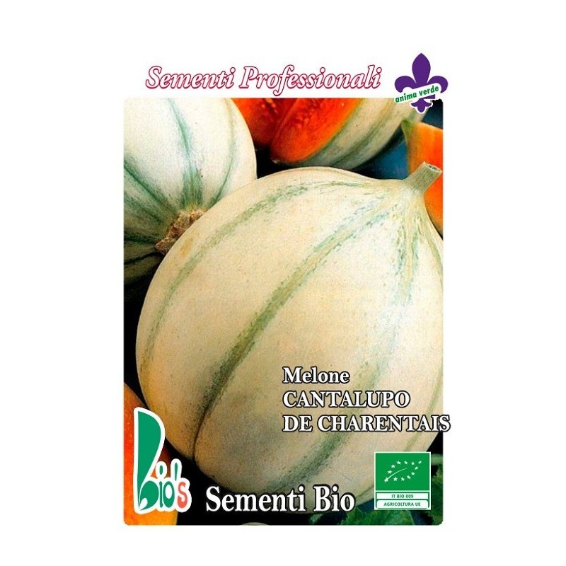 melÃ³n cantalupo de Charentais - semillas ecologicas