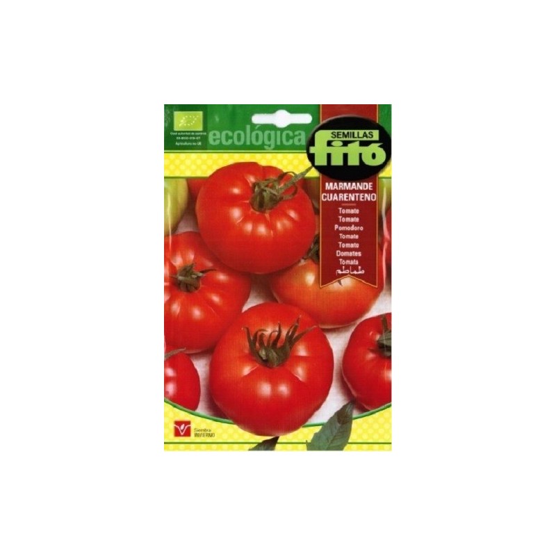 tomate marmande cuarenteno (semillas ecologicas)