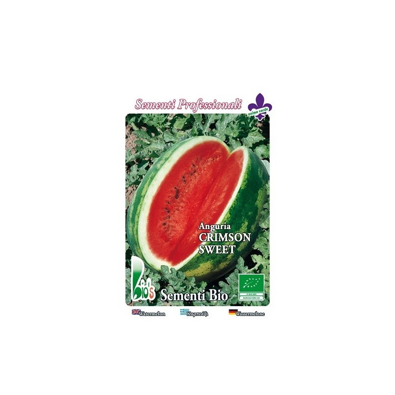sandia crimson sweet - semillas ecologicas bioseme