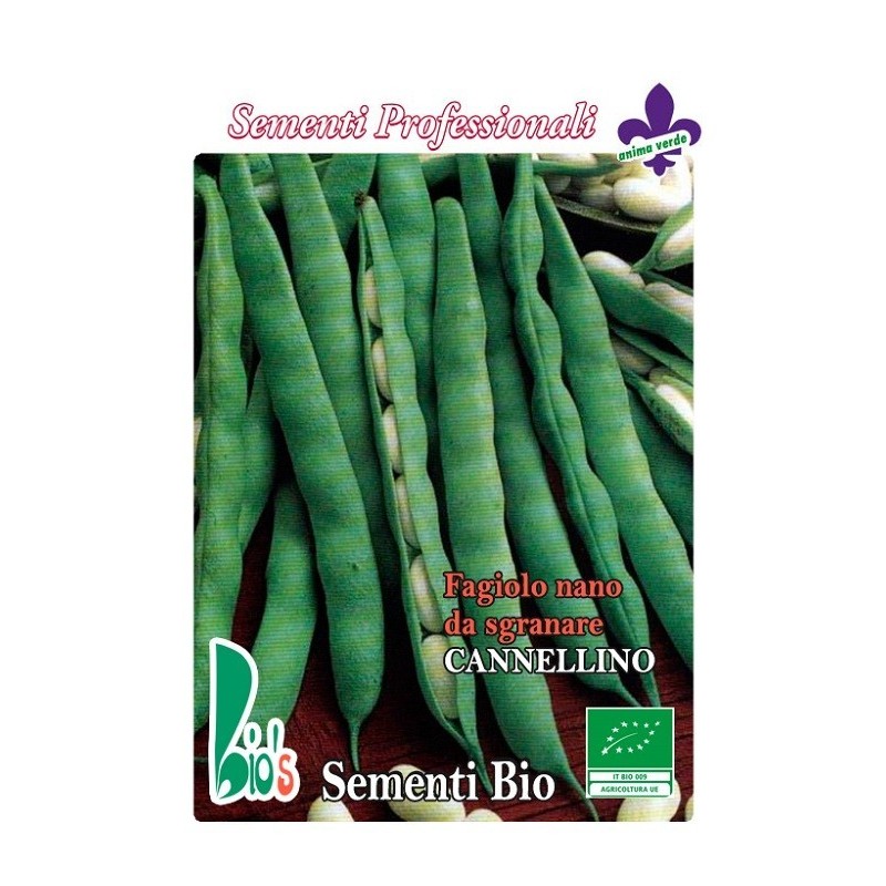 judia cannellino lingot - semillas ecologicas