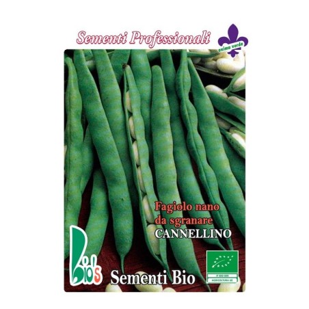 judia cannellino lingot - semillas ecologicas