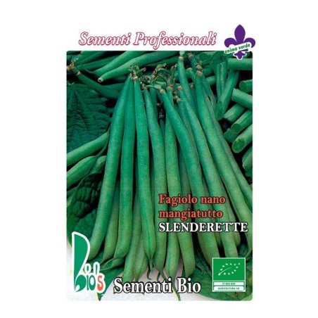 judia slenderette - semillas ecologicas