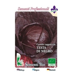 Col lombarda - repollo de cabeza negra -semillas ecologicas