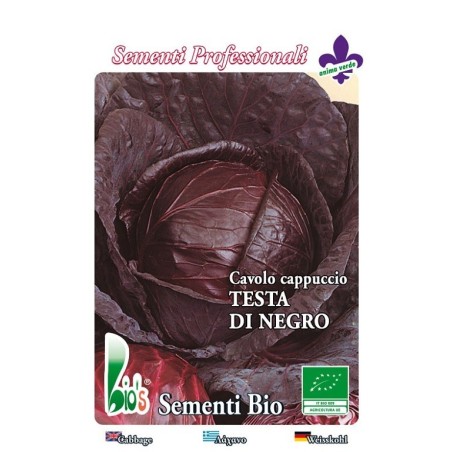 Col lombarda - repollo de cabeza negra -semillas ecologicas