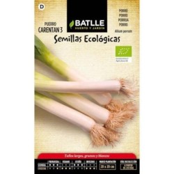 puerro grueso carentan 3 (semillas ecologicas)