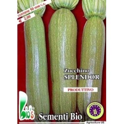 calabacin splendor (semillas ecoligicas)