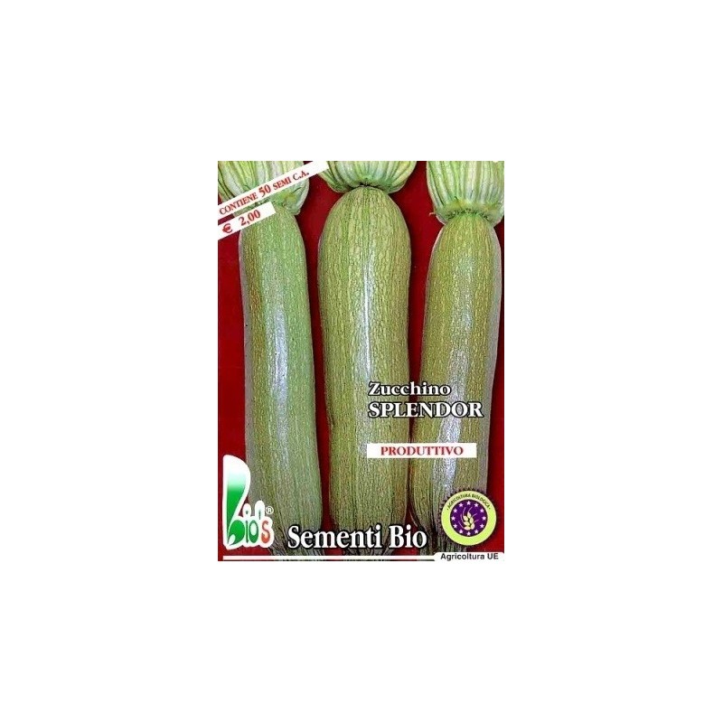 calabacin splendor (semillas ecoligicas)