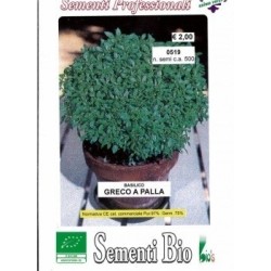 albahaca griega (semillas ecolÃ³gicas)