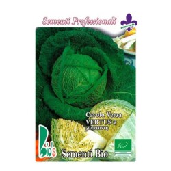 repollo virtudes - semillas ecolÃ³gicas