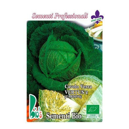 repollo virtudes - semillas ecolÃ³gicas