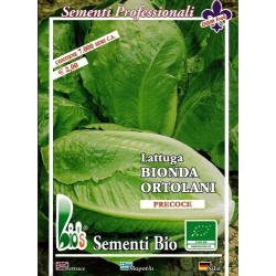 lechuga Romana de verano semillas ecolÃ³gicas certificadas