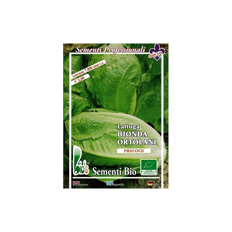 lechuga Romana de verano semillas ecolÃ³gicas certificadas