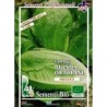 lechuga Romana de verano semillas ecolÃ³gicas certificadas