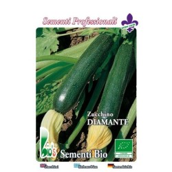 calabacin diamante - semillas ecolÃ³gicas