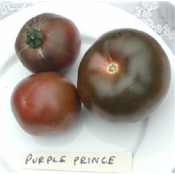 Tomate principe negro  (Semillas no tratadas)