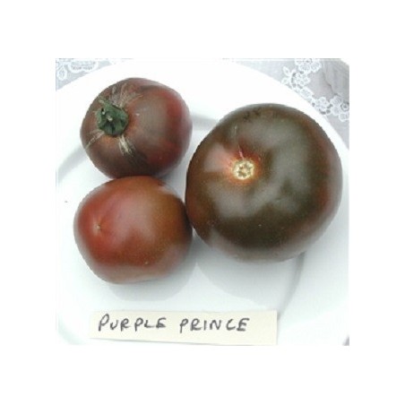 Tomate principe negro  (Semillas no tratadas)
