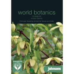 clematis korean beauty