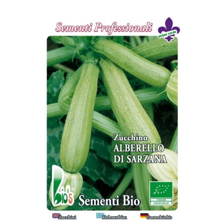 calabacin alberello de Sarzana - semillas ecologicas