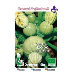 calabacin redondo de Niza - semillas ecologicas