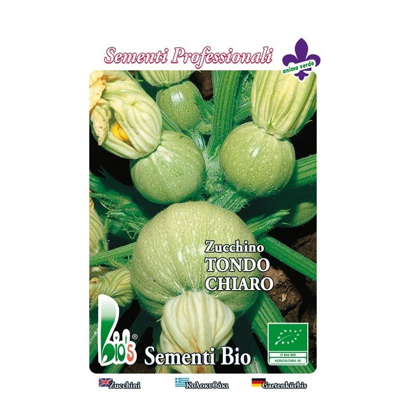 calabacin redondo de Niza - semillas ecologicas