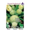 calabacin redondo de Niza - semillas ecologicas