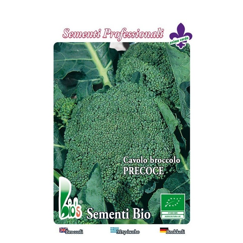 brocoli calabres precoz - semillas ecologicas