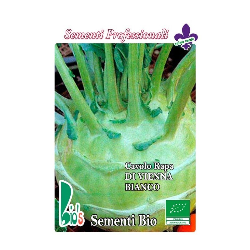 colinabo blanco de Viena - semillas ecologicas