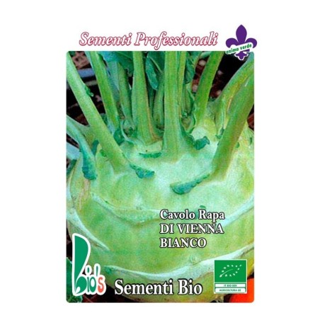 colinabo blanco de Viena - semillas ecologicas