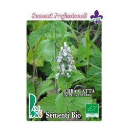 menta de gatos (nepeta cataria) - semillas ecologicas