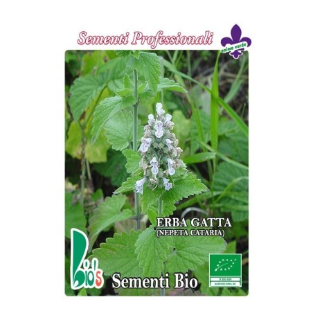 menta de gatos (nepeta cataria) - semillas ecologicas