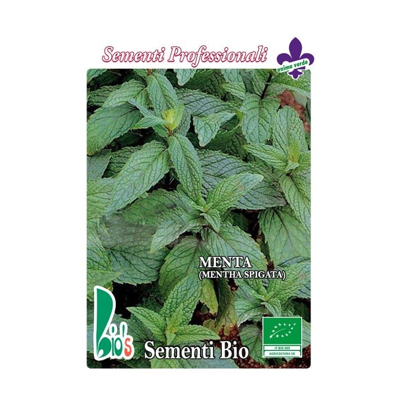 hierbabuena (mentha spigata) - semillas ecologicas