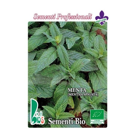 hierbabuena (mentha spigata) - semillas ecologicas