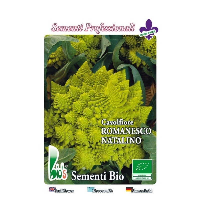 brocoli romanesco - semillas ecologicas