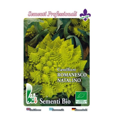 brocoli romanesco - semillas ecologicas