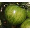 tomate green zebra - semillas no tratadas